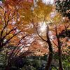 粟ヶ岳　紅葉バッチリ