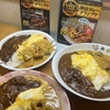 あいがけ高級レトルトカレー 神田カレーグランプリ ビーフマサラカレー＆特製彩り野菜カレー