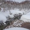 大雪でも塞がらないという湧水の水路