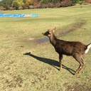 アラサー母の徒然日記