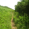 箱根外輪山夏の陣