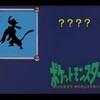 【全ポケ語れる説】ダブル向きの格闘家