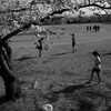 Sports park
