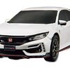 【実機レビュー】ジョーゼン シビック タイプR ラジコン - コスパ最強？大人が本気で遊んでみた！