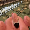 ブログを再開します。まずは旅の話から。