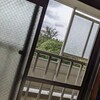 6/7窓の向こうでは、丈高い樹が、曇り空に浮かんでいる。疲れた目には優しく手を振るようだ。じっと見詰める！