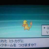 色違い 入手方法から選ぶ 色違いポケモン入手チャート Club Shiny S Blog 2号館