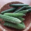 夏野菜2種　’22