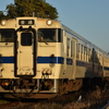 2025年正月　指宿枕崎線遠征その①   指宿でヨンマル4連を狙う