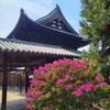 【京都】『萬福寺』に行ってきました。 