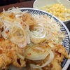 油淋鶏から揚げ丼