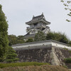徳川vs武田の城をぶらぶら ～小山城・二俣城