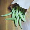 おみせでもうってる