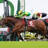 競馬初心者必見☆馬券予想🔥〜京都新聞杯〜日本ダービーを賭けた大事な一戦！