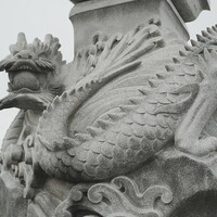 今年は『辰』年。明けてますm(._.)m