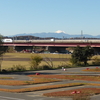 最近の散歩風景（富士山あり！）