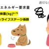 子猫・成猫の適切な食事量を簡単に計算しよう！