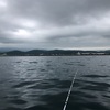 8月4日 タチウオも終わり？