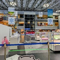新千歳空港から羽田空港に無事到着しました