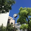 六甲山一人タイムトライアル