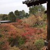 京都旅行1日目 東福寺から光明院、三十三間堂、高台寺、清水寺など