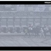 今日は寒い日ですよ・・・・。(/_;)。　　№１１０５