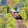 わたらせ渓谷鐵道のDE10トロッコと紅葉の撮影