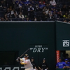 さようなら、おげんきで