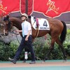 【一口馬主／ラパンラピッド】2勝目なるか！？