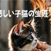 悲しい子猫の生涯