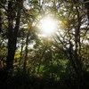 パワースポットなのかなぁ・・・秋の津久井湖や相模湖の地域