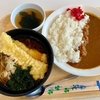AOMI（お台場フジテレビ湾岸スタジオ）イカ天そば＋カレーライス