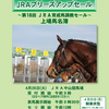 【2022 JRAブリーズアップセール(JRA Breeze Up Sale)】が開催(結果概要､売却率11年連続100%達成)