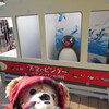 #天空のピングー#サンシャイン水族館