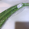 ハスイモは要注意