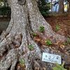 兼題は「冬枯」！〝ためらはずして〟枯れるって？
