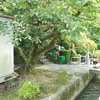熊本県宇城市小川町西北小川付近