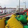 定番熊本港コース2024.10月
