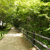 【杉並区】玉川上水にほど近い高井戸公園に行ってきました。