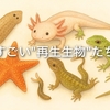 プラナリアだけじゃない！すごい“再生生物”たち  ～生き物たちの驚異の再生力と、医療へのヒント～
