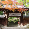 京都からの帰り道です