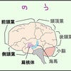 引きこもりの人は、なんらかの精神疾患をわずらっている可能性があるので、すぐに病院へ行ってみてください。