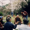 明大校友会（逗葉）第１４回 お花見会の案内です