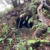 徳増下谷横穴墓群(その3)  長柄町徳増