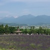 親孝行旅行in北海道♪ 最大級のラベンダー畑と糖度15度のメロンパンの巻！！！