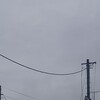 雨上がりの曇天！なのであります！