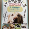 鳴尾｜保護犬猫と触れ合える！「アネラカフェ西宮店」が2025年4月11日（金）にオープンします