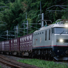 2024/09/23 8056レ EF510 305号機