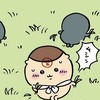 【ちいかわ】栗まんかわいそう