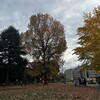 家族揃って囲んだ鍋に父の奉行がしゃしゃり出る